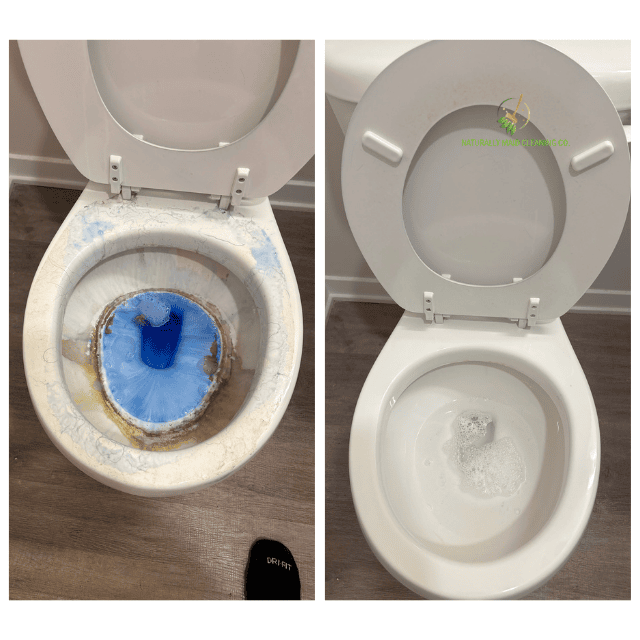 Naturally Maid Cleaning Co. (15)